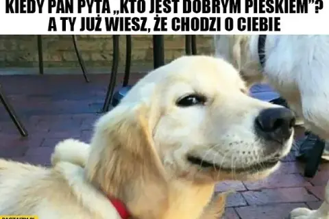 Śmieszne życzenia na Dzień Dziecka: Gotowe teksty, które rozbawią!