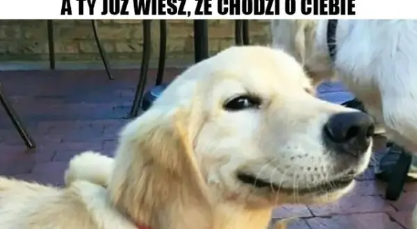 Śmieszne życzenia na Dzień Dziecka: Gotowe teksty, które rozbawią!