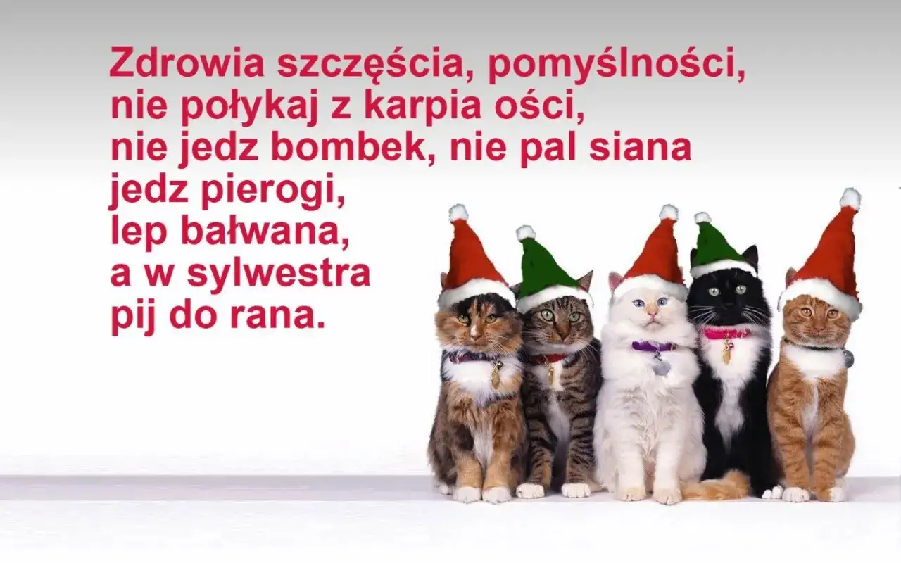 śmieszne życzenia świąteczne telefon